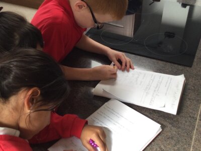 Image of Year 4 (Class 11) - Science - Sound Hunt