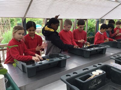 Image of Year 4 (Class 12) - Science - Harlow Carr Trip