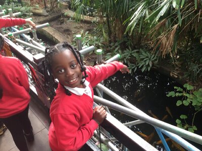 Image of Year 4 (Class 9) - Geography - Tropical World