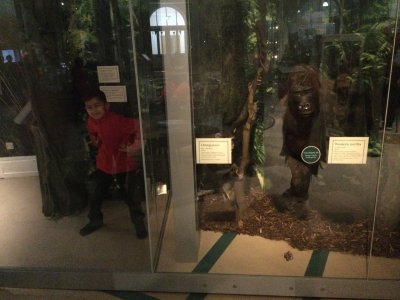 Image of Year 4 (Class 9) - History - Leeds City Museum Trip