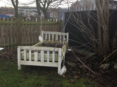 Image of Year 4 - Wildlife Club