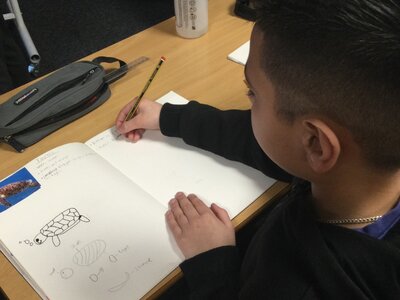 Image of Year 5 (Class 12) - Art - Re Using Plastic Waste