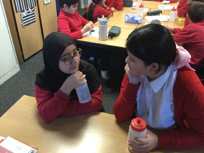 Image of Year 5 (Class 12) - PSHE - Mental Health