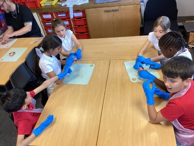 Image of Year 5 (Class 12) - Science - Dissecting Hearts