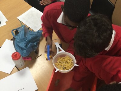 Image of Year 5 (Class 12) - Science - Separating Materials
