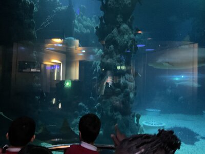 Image of Year 5 (Class 12) - Science - The Deep Trip