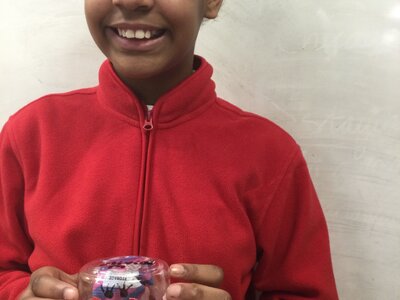 Image of Year 5 (Class 13) - Art - Plastic Sculptures