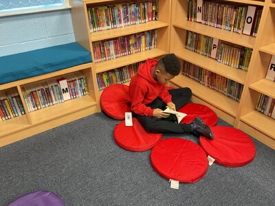 Image of Year 5 (Class 14) - Library Session