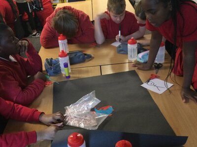 Image of Year 5 (Class 14) - Science - The Circulatory System Models