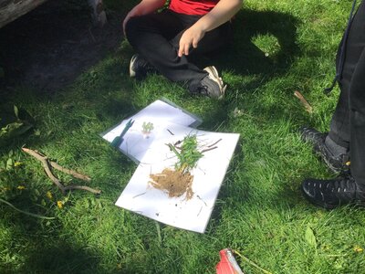 Image of Year 6 (Class 14) - Science - The School Wildlife Garden