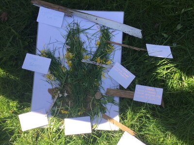 Image of Year 6 (Class 14) - Science - The School Wildlife Garden