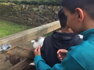 Image of Year 5 - Lineham Farm Residential - Night Walk