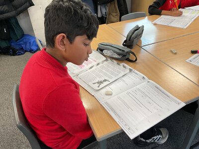 Image of Year 6 (Class 15) - English - Reading Comprehension