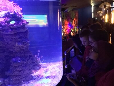 Image of Year 6 (Class 15) - Science - Trip to The Deep