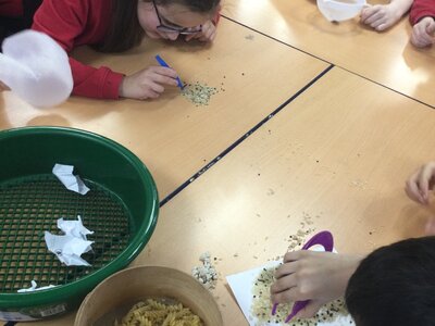 Image of Year 6 (Class 16) - Science - Filtering Techniques