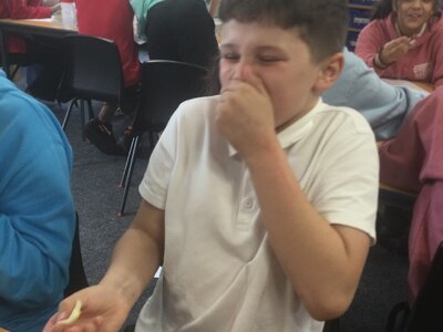 Image of Year 6 (Class 16) - Science - Food Tasting