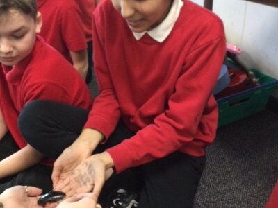 Image of Year 6 (Class 16) - Science - Science Week