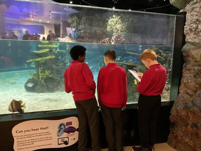 Image of Year 6 (Class 16) - Science - The Deep Trip