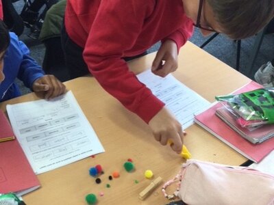 Image of Year 6 (Class 16) - Science - Finches on The Galápagos Islands