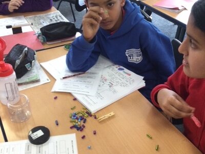 Image of Year 6 (Class 16) - Science - Finches on The Galápagos Islands
