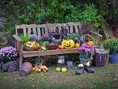 Image of Harvest Festival Church Visit