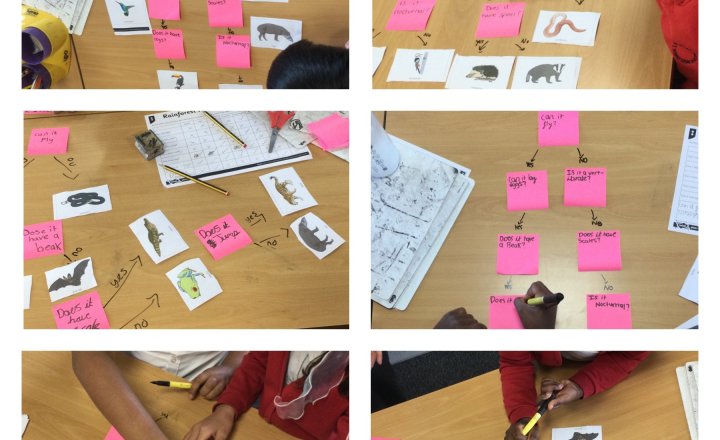 Image of Year 4 (Class 11) - Science - Living Things