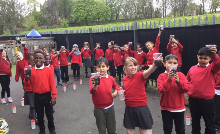 Image of Year 2 (Class 6) - Science - Planting Seeds