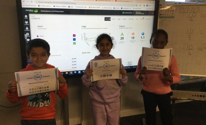 Image of Year 5 (Class 13) - English - Reading Plus
