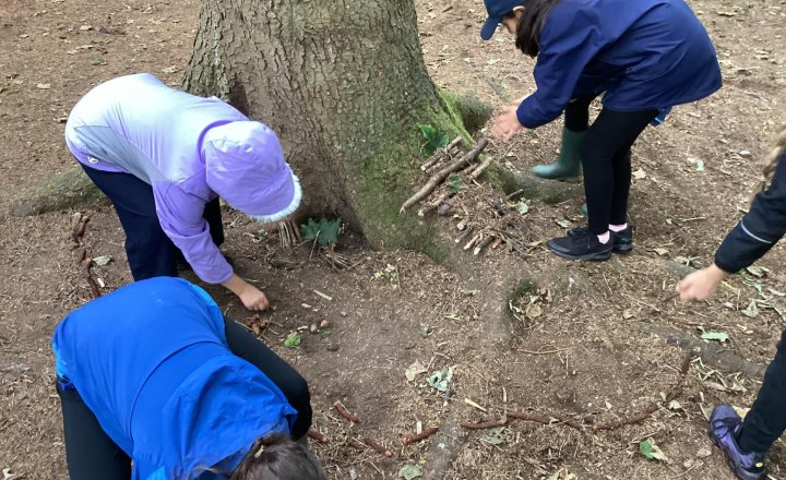Image of Lineham Farm (Class 13 & Class 14) - Bushcraft