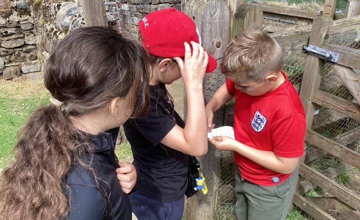 Image of Lineham Farm (Class 13 & Class 14) - Orienteering