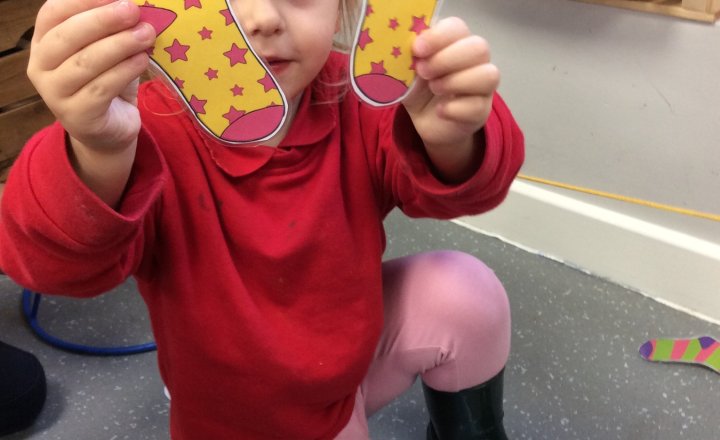 Image of Nursery - Different Families and Patterns