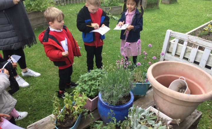 Image of Nursery - Garden Trip