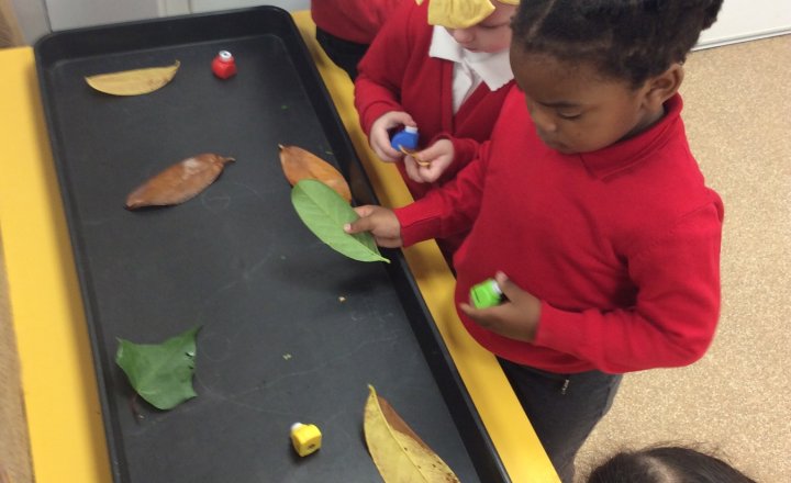 Image of Nursery - Learning about Autumn