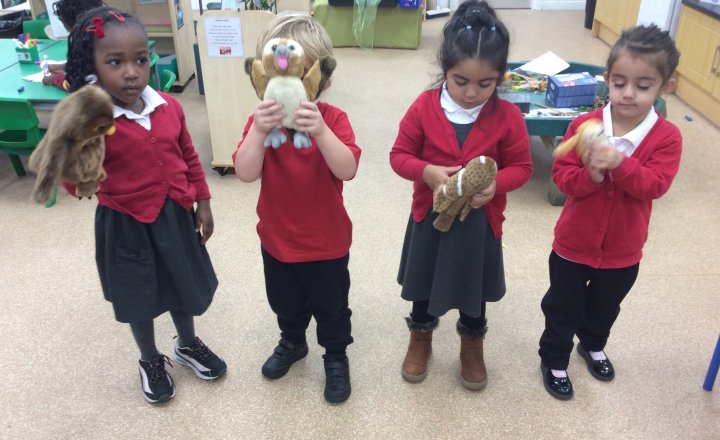 Image of Nursery - Learning about Owls