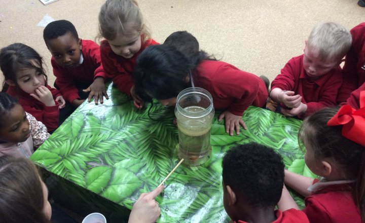 Image of Nursery - Science Week