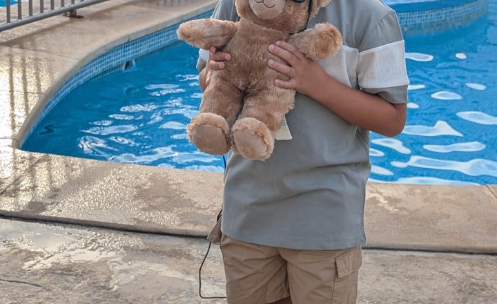 Image of Reception - Biscuit the Bear