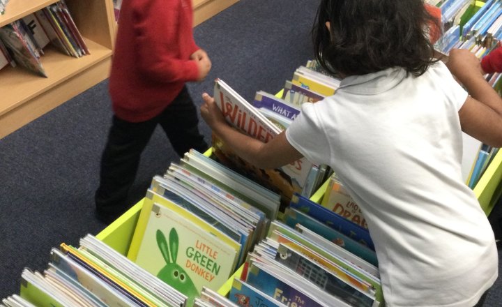 Image of Reception (Class 1) - School Library Visit