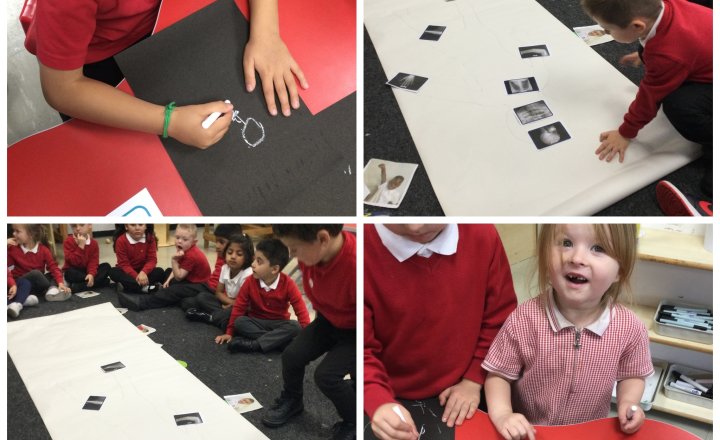 Image of Reception (Class 1) - What's Inside our Bodies?
