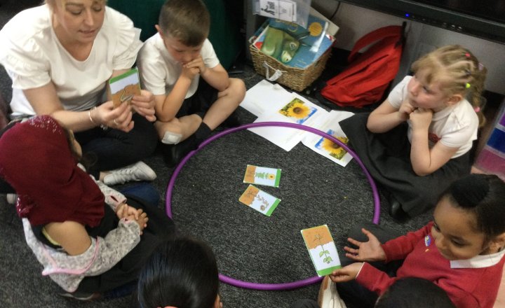 Image of Reception (Class 2) - Science - Flowers & Plants
