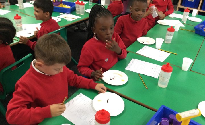 Image of Year 1 (Class 3) - Science - The Body and Senses