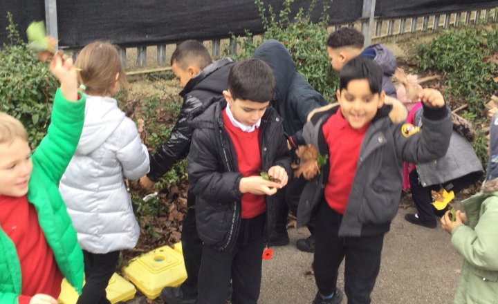 Image of Year 1 (Class 3) - Science - Trees