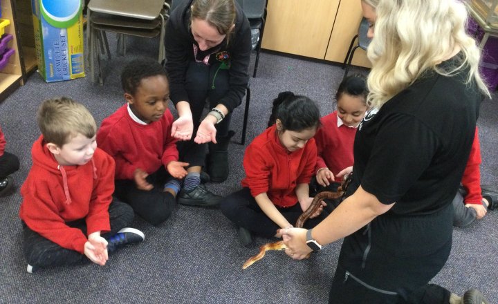Image of Year 1 (Class 4) - Science - Animal Experience