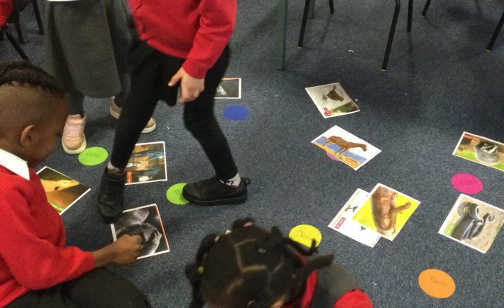 Image of Year 1 (Class 4) - Science - Animal Groups