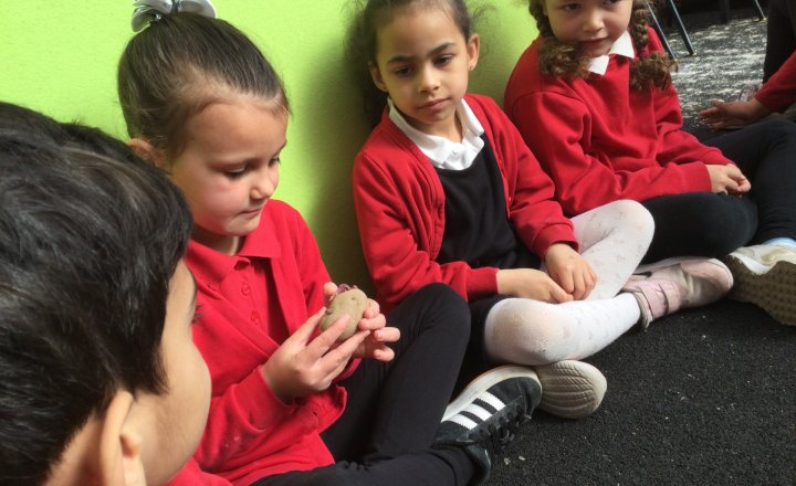 Image of Year 1 (Class 4) - Science - Planting Potatoes