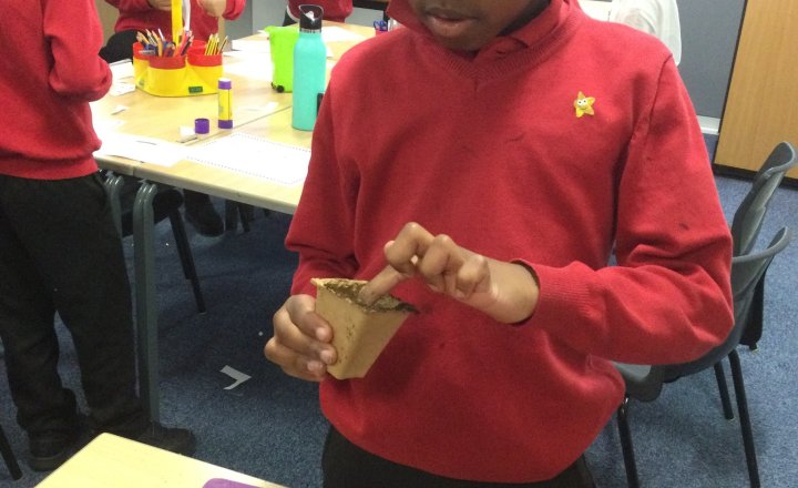 Image of Year 1 (Class 4) - Science - Plants