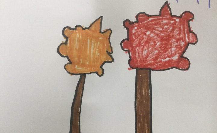 Image of Year 1 (Class 4) - Science - Seasonal Changes