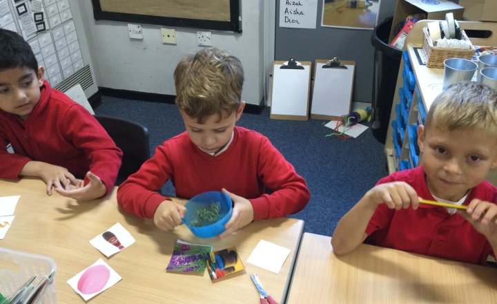 Image of Year 1 (Class 4) - Science - Senses