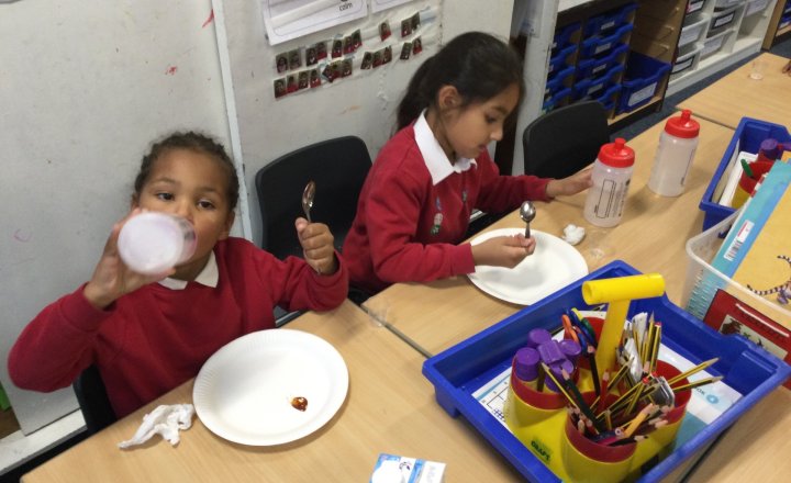 Image of Year 1 (Class 4) - Science - The Five Senses