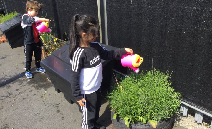 Image of Year 1 - Science - Plants & Water
