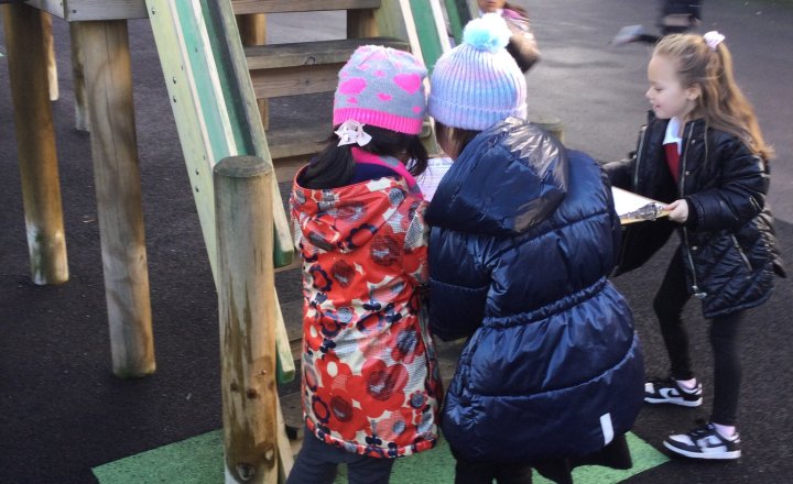 Image of Year 2 (Class 5) - Science - Living Things